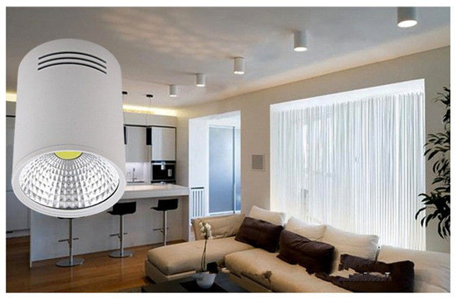 Ceiling Surface Mounted Dimmable Down Lights 120 Degree Beam Angle 100 - 240VAC