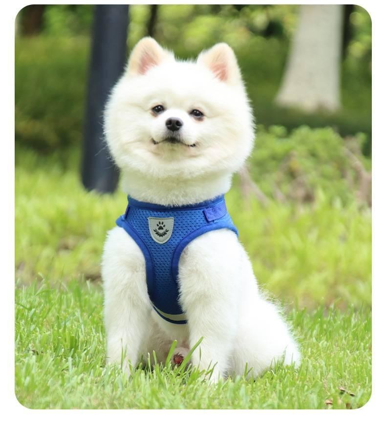 Polyester Mesh Breathable Pet Harness Vest Tensile Force Is Divided Evenly