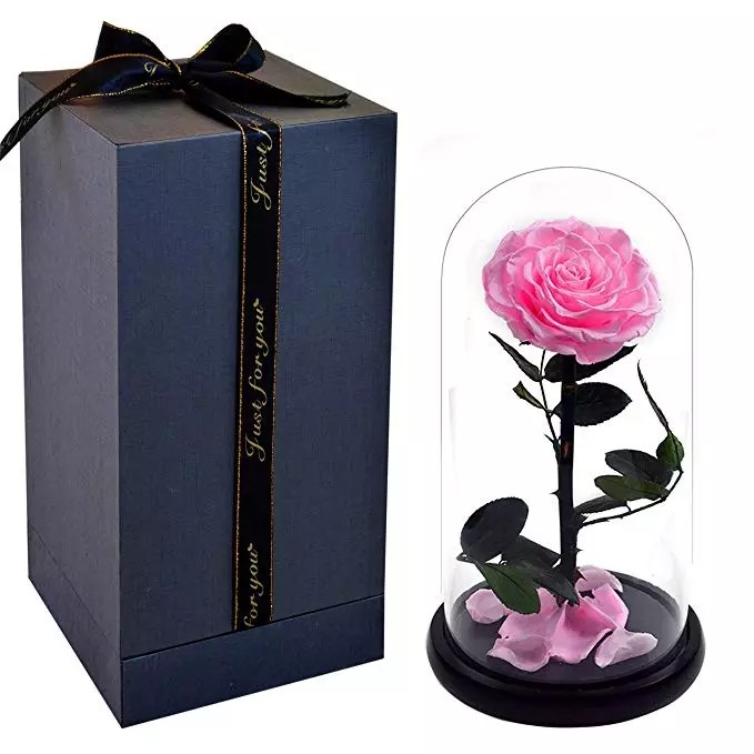 Preserved Flower Eternal Rose in Glass Long Lasting Flowers Home Decoration Everlasting Flowers