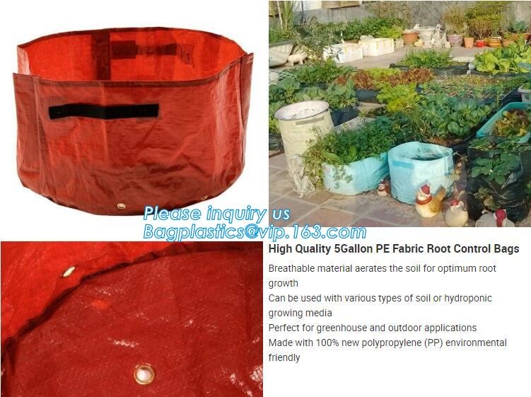 Nine pockets cheap vegetable grow planter bag,china manufacture riptop waterproof nursery bag,planting potato grow bag