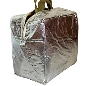 lunch tote bag
