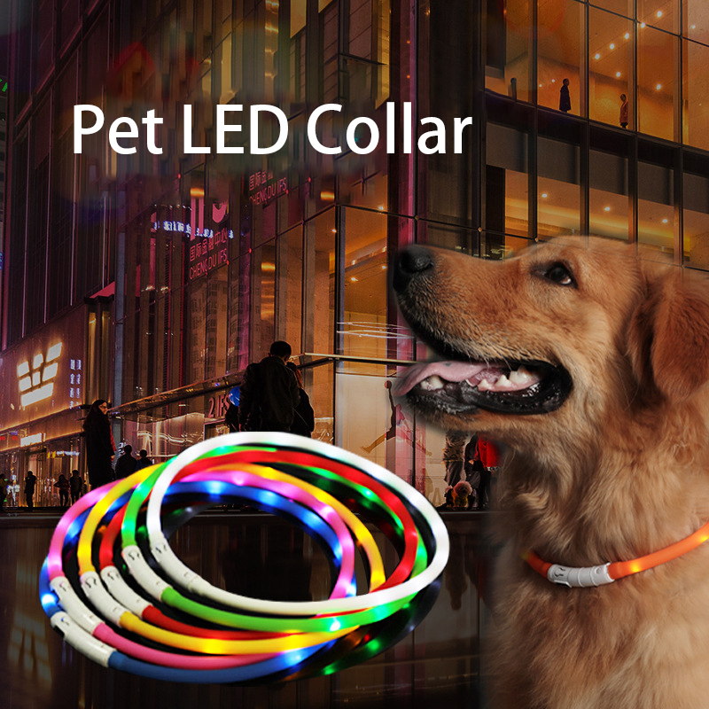 pet led collar