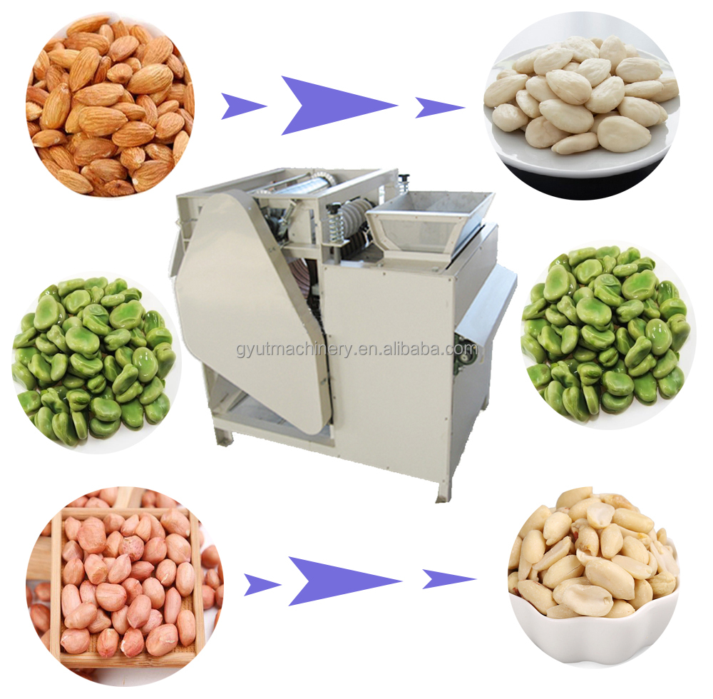 85-95% Whole-Kernel Rate Wet Peeling Machine for Apricot Kernel Cracking and Cracking