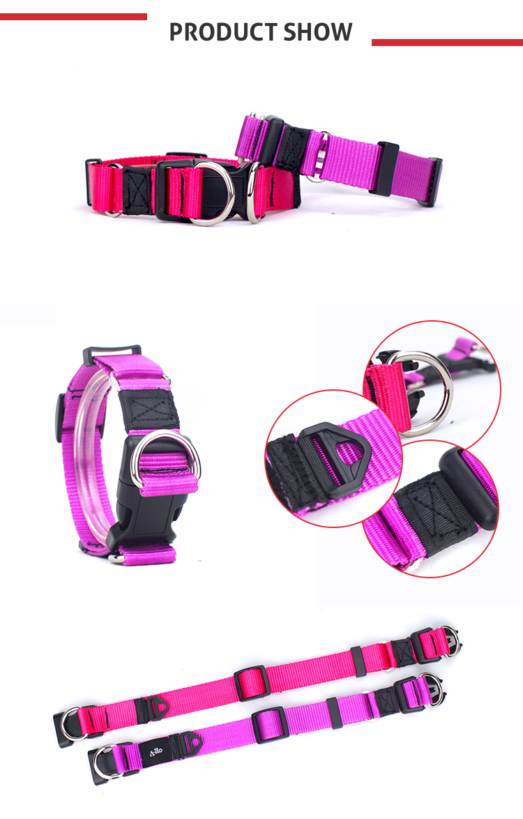 Eco - Friendly Pet Collar For Dog Walking , Fashion Sport Dog Collar