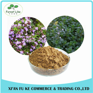 New Design Spices Product Antibacterial Effect Dry Thyme Leaf Extract