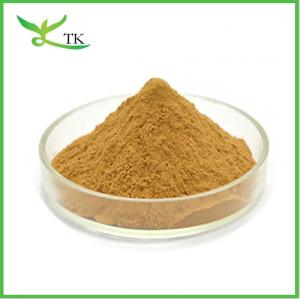 China EGB 761 Natural Ginkgo Biloba Leaf Extract Powder 20:1 on sale