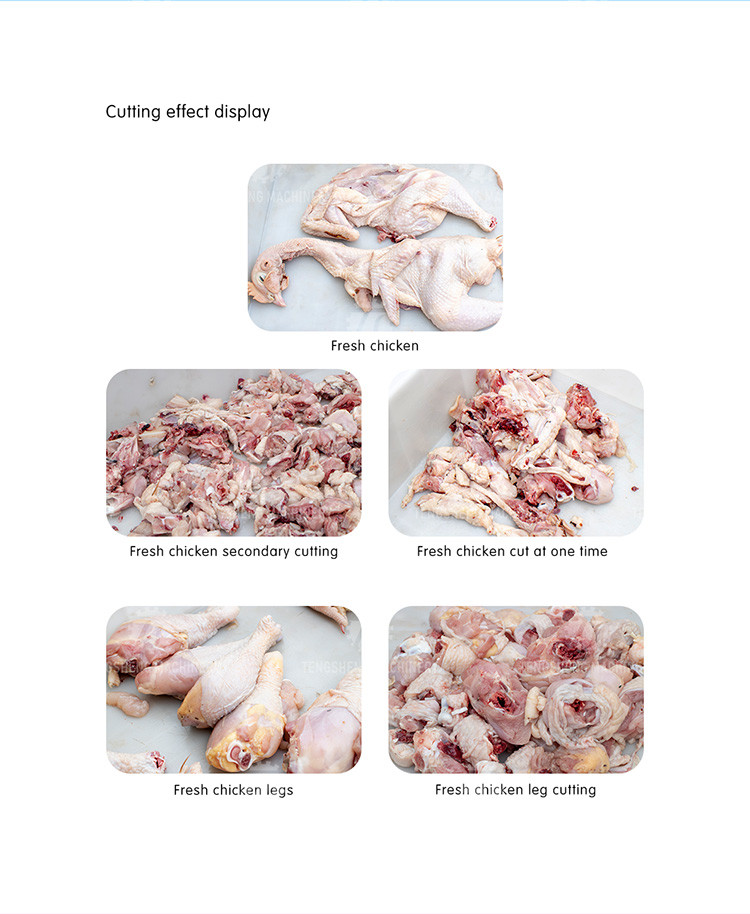 380V 2.2KW Fish and chicken bone-in dicing machine stainless steel cutting machine poultry cutting machine