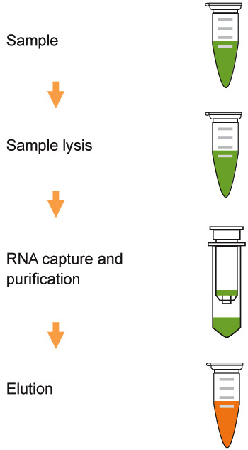 Spin Column Nucleic Acid Extraction Kit , CSF Viral Rna Isolation Kit