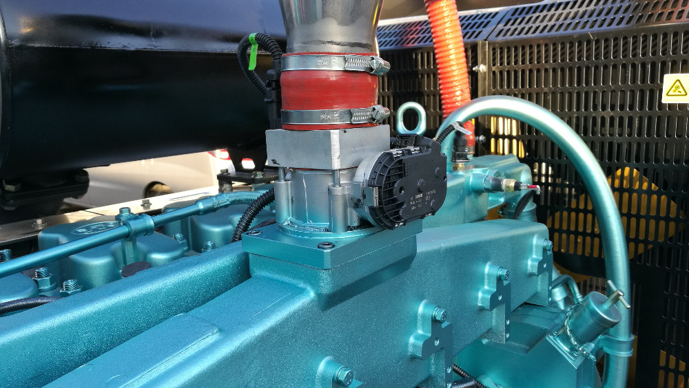Silent Natural Gas LPG Generator as Home Standby Generator