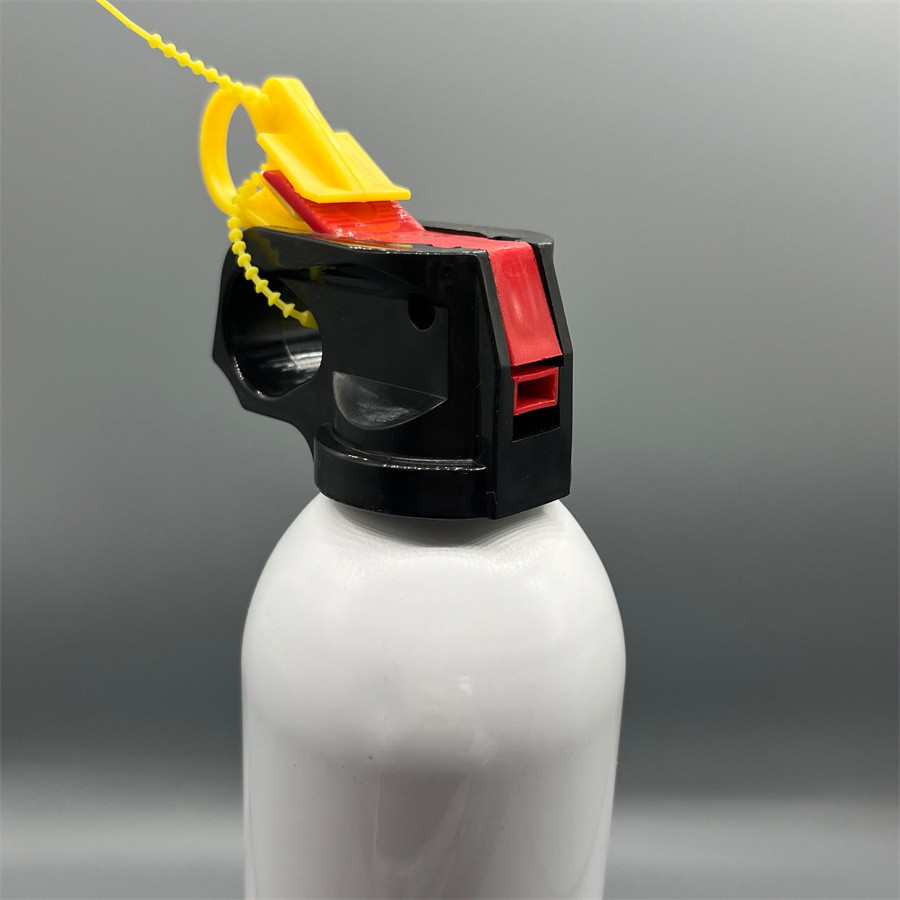 Professional Fire Extinguisher Valve Fittings High Pressure Tolerance for Industrial Use