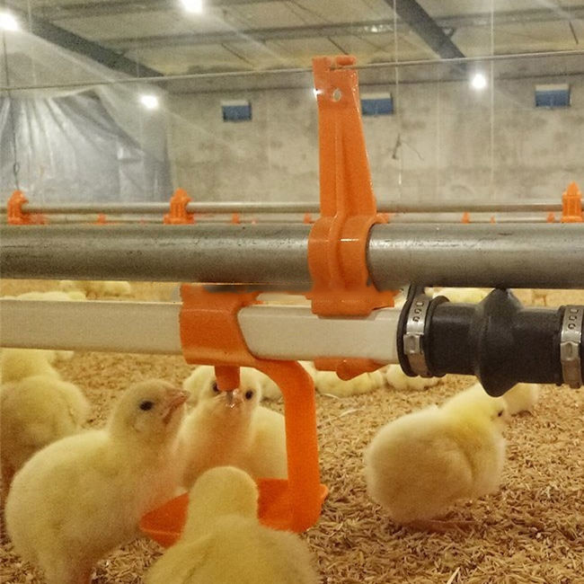 Plasson Broiler Waterer Poultry Drinking Line White Red Yellow