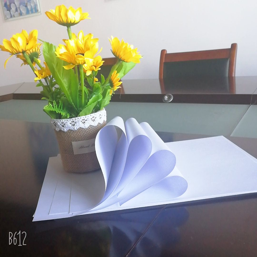White Copy Paper 70gsm The Best Choice for Printing Tasks