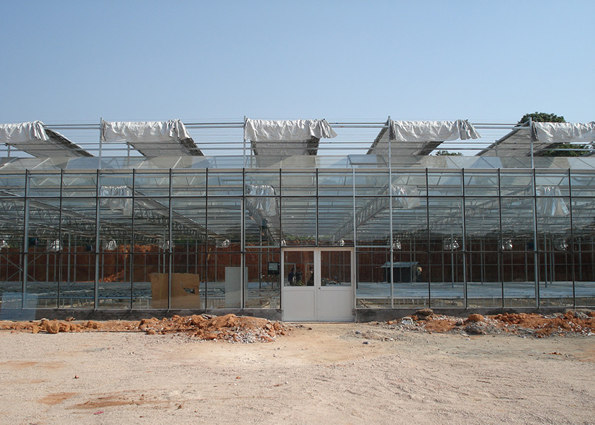 Sturdy Structure, Adjustable Climate VENLO Glass Greenhouses For Strawberry & Flower Cultivation