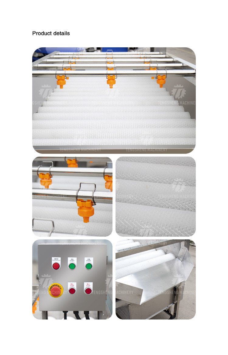 2.5KW Potato flat roller cleaning equipment seafood cleaning machine potato cleaning machine equipment
