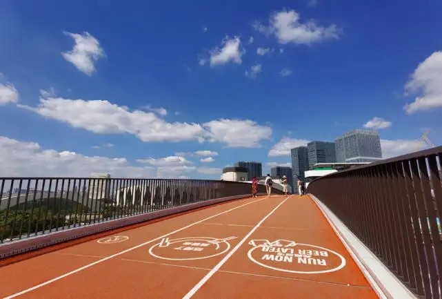 Infilled Rubber Jogging Track 3.5mm EPDM Granules Colorful Outdoor Rubber Walkway