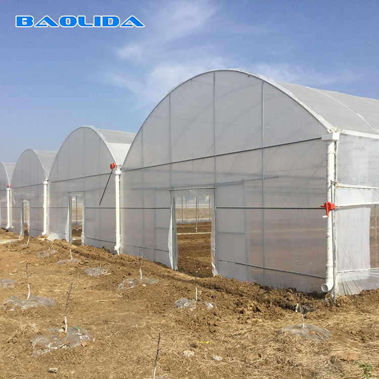 Baolida Multi Span Plastic Film Greenhouses With Hot Dipped Galvanized Frame