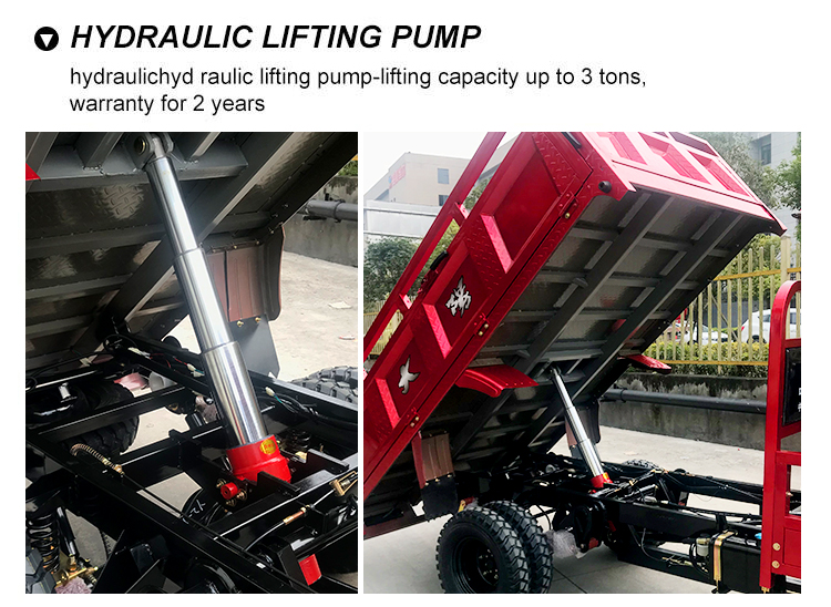 DAYANG Gasoline Tricycle Lifan 300cc Engine for Cold Chain and Cargo Transportation