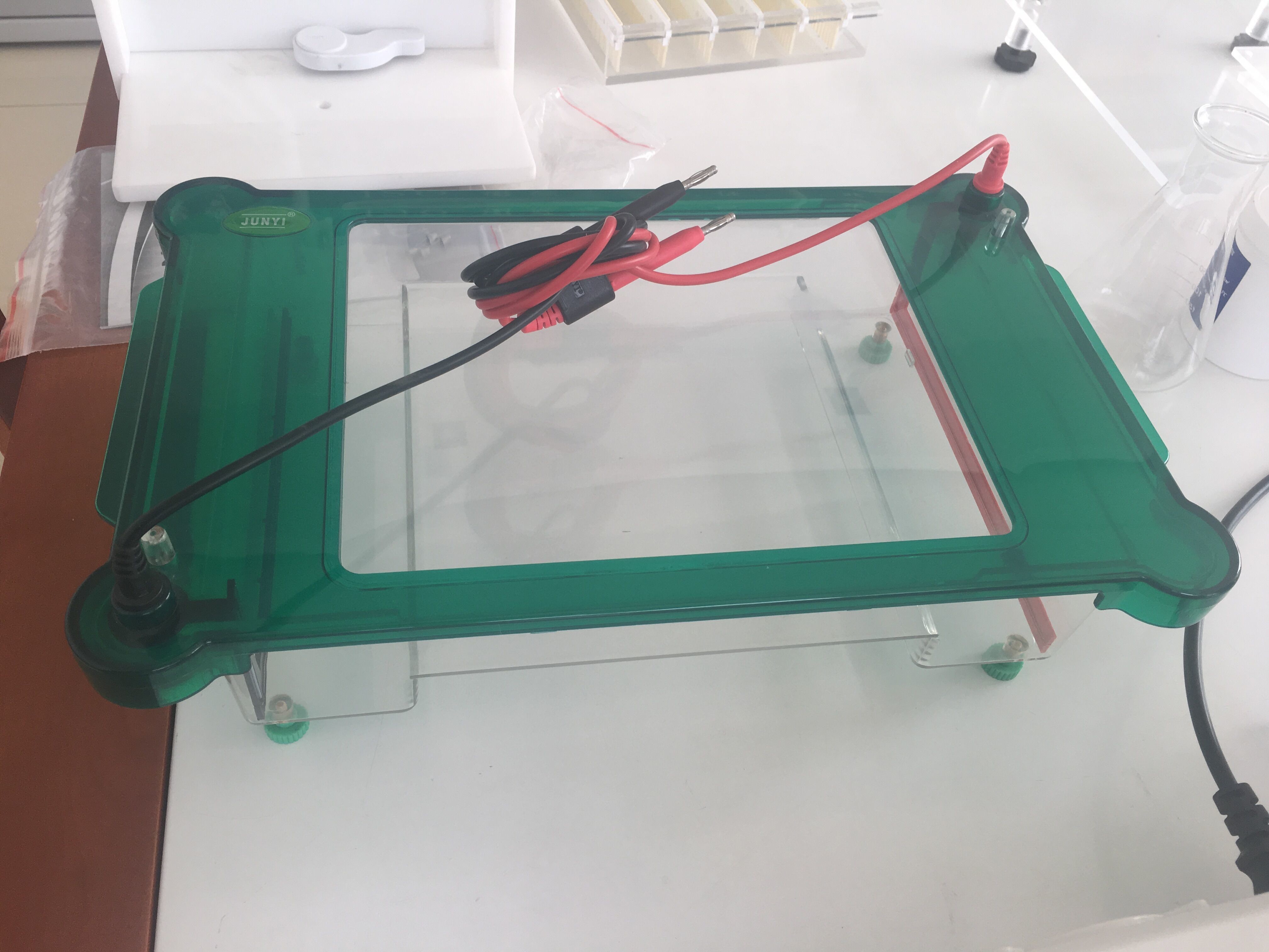 Multipurpose Agarose Gel Electrophoresis Equipment ~1800ml Buffer Volume Jy-spgt