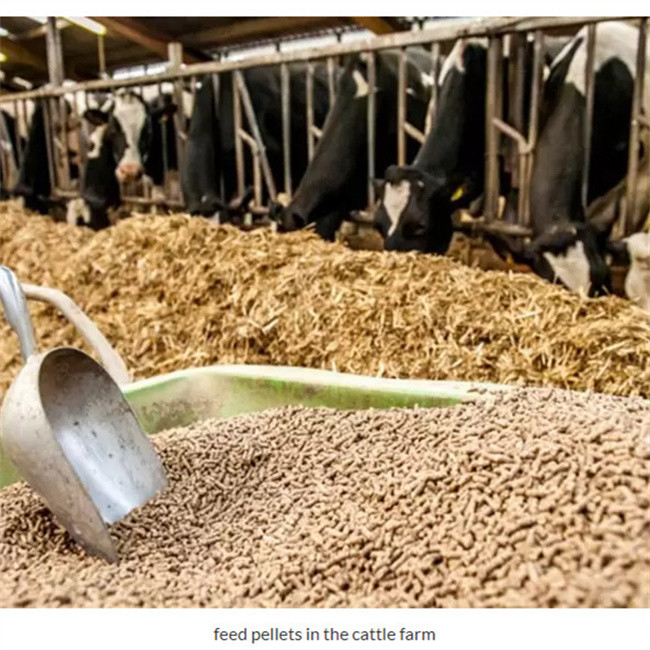 feed pellet machine