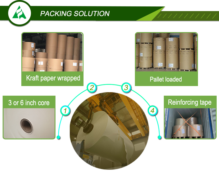 Double Side Coating 100%Virgin Wood Pulp No Carbon Paper White/Pink/Yellow/Blue/Green
