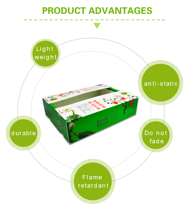 Fruit Corrugated Plastic Packaging Broccoli PP Corrugated Sheet Box