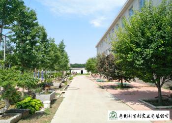 Qingzhou Xinbaili Industrial Co., Ltd.