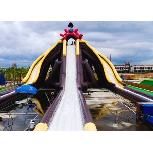 Durable Giant Inflatable Slide For Water Park Amusement Games