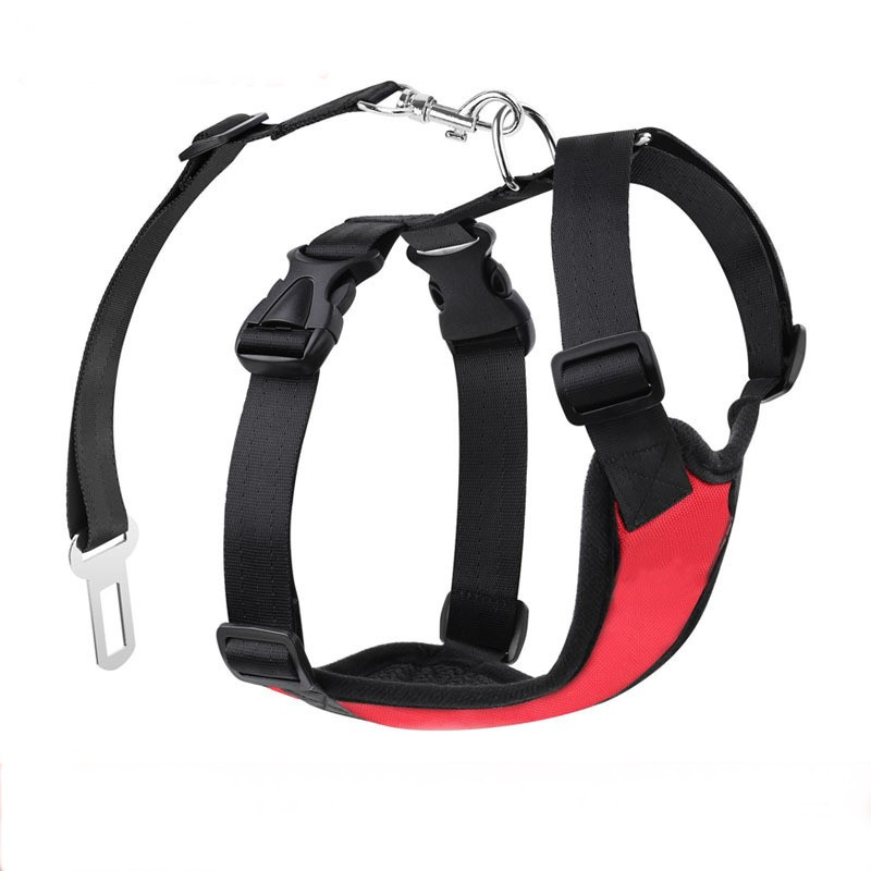 cat car seat harness
