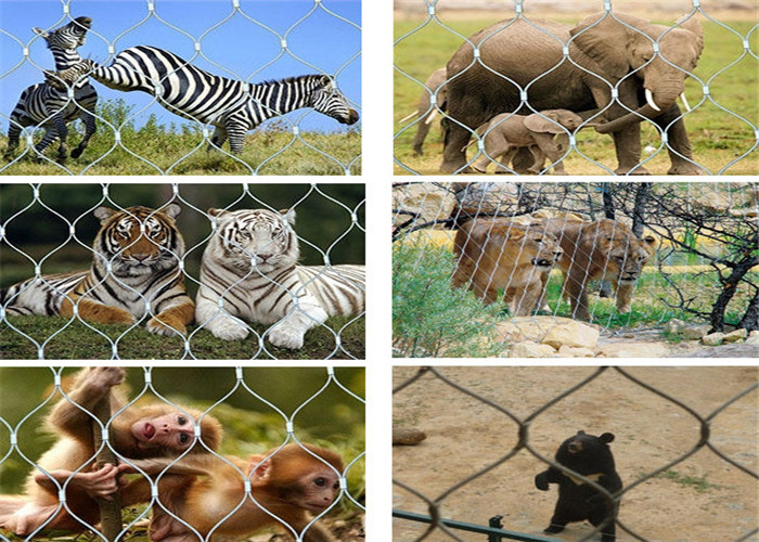 Stainless Steel Animal Enclosure Mesh Anti Corrosive Free - Angles Curving And Fold