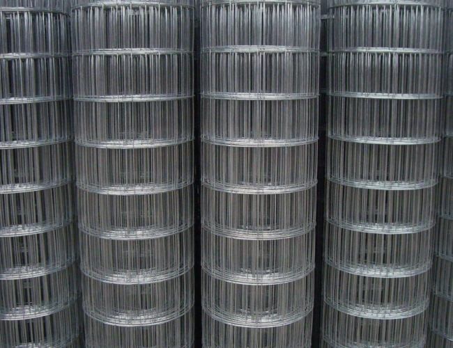 1mm-3mm Hot Dipped Galvanized Welded Wire Mesh Animal Cage Wire Mesh Rustproof