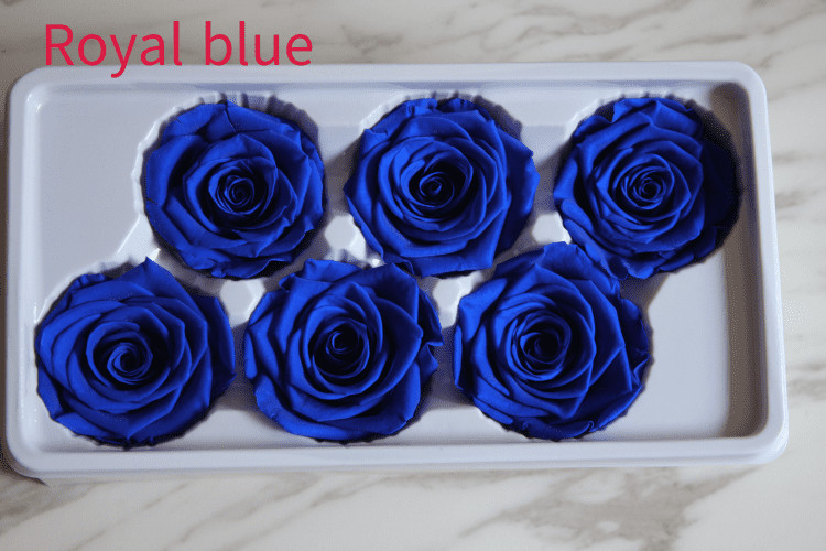 beautiful preserved rose flower A grade stabilized rose preserved long lasting eternal rose 4-5cm