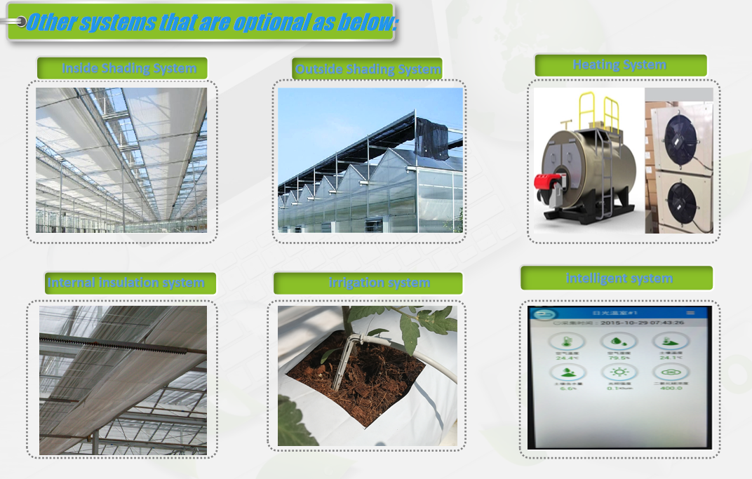 Single Span Greenhouse Metal Frame Greenhouse For Blueberry Production
