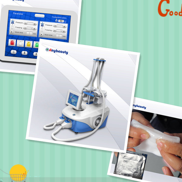 White Blue Cryolipolysis Slimming Machine Portable With Medical Ce Approval