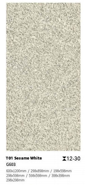White Gray Non-slip Floor Paving Tile For Outside Courtyard and Balcony 600x900x30mm