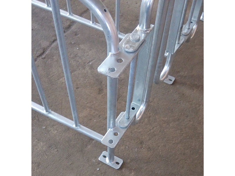 Durable Steel Iron Hog Gestation Stalls , Gestating Pen For Livestock