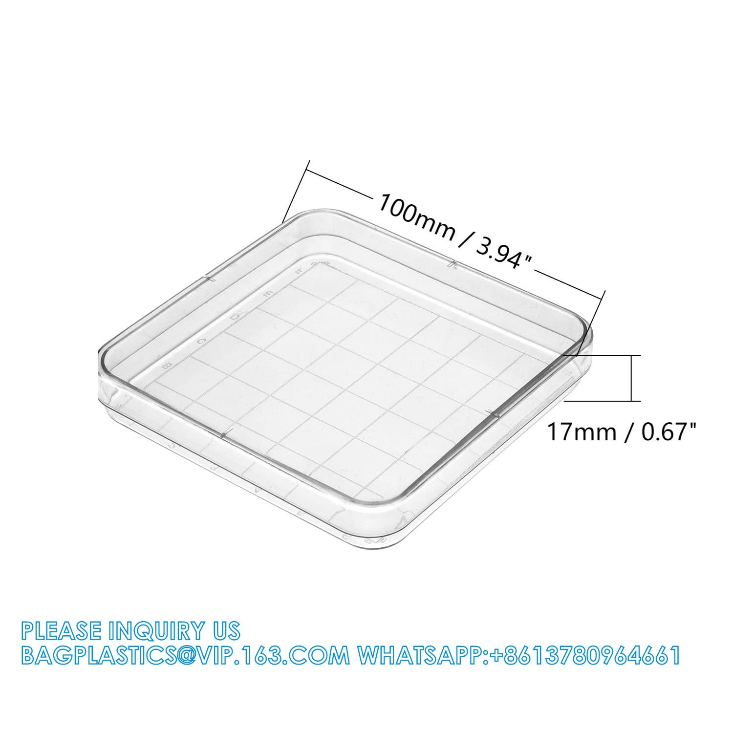 Polystyrene Square Integrid Petri Dish Container for School Lab Science Experiment Alphanumeric Gridlines