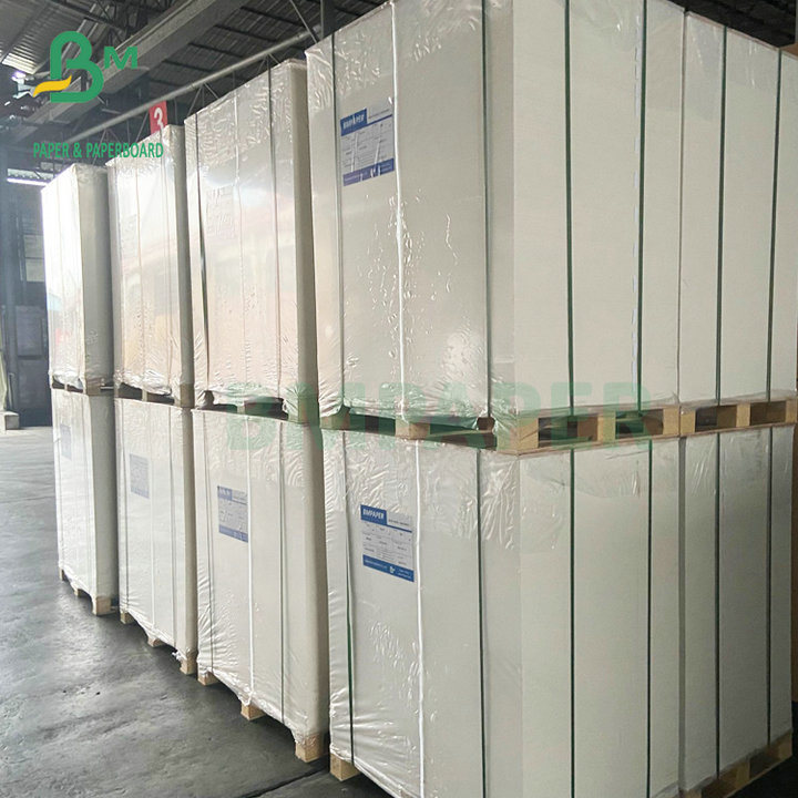 Strong Stiffness 300GSM 350GSM Ivory Board FBB Paper 72x102cm 