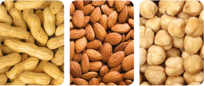 Hygienic Design Peanut Sorting Machine CCD Optical Color Sorter