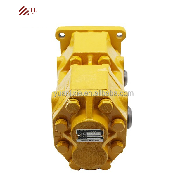 Shantui Bulldozer SD16 Customer Required Duplex Pump 16T-70-10000 with Solenoid Valve