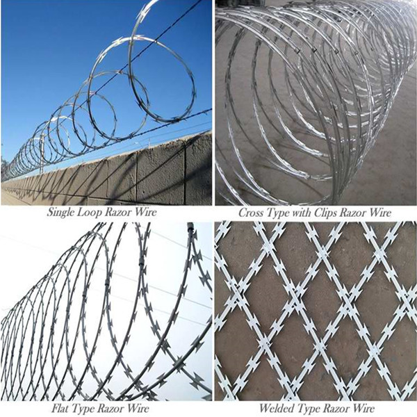 Multi Type Stainless Steel Razor Wire / Barbed Wire Roll For Grass Boundary