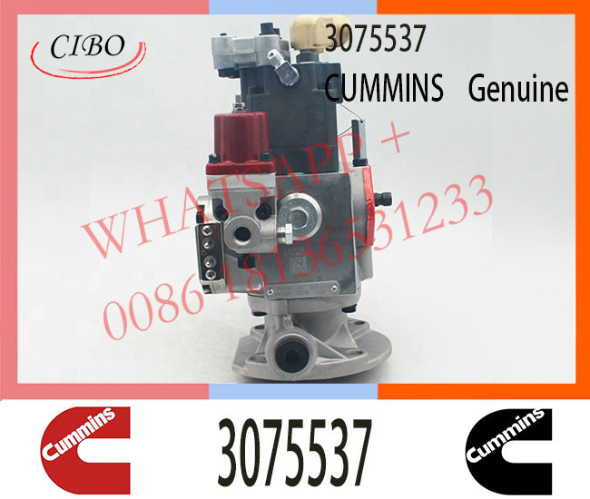 3075537 Diesel Pump for Cum-mins KTA38 KTA50 NTA855 Engine PT Fuel Injector 3075537 3059657 3070123 3262033 3636943
