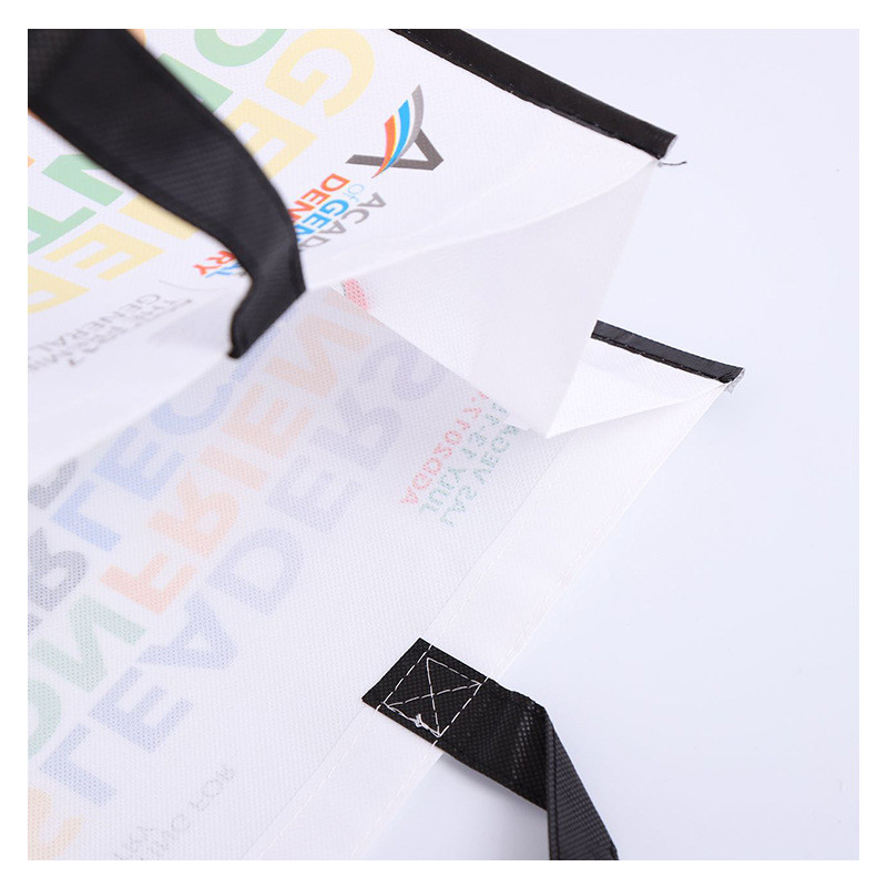 Custom Red Blue Printed Zipper PP Non Woven Handle Bag