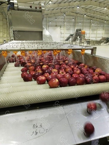 Apple sauce processing complete set of machines specially customized for food processing plants