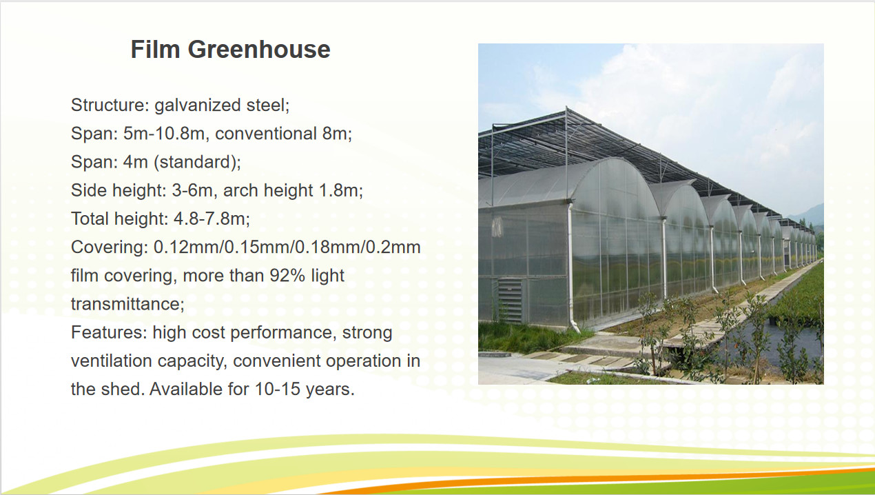 Commercial Multi Span Greenhouse Plastic Film Greenhouse For Vegetable Growing