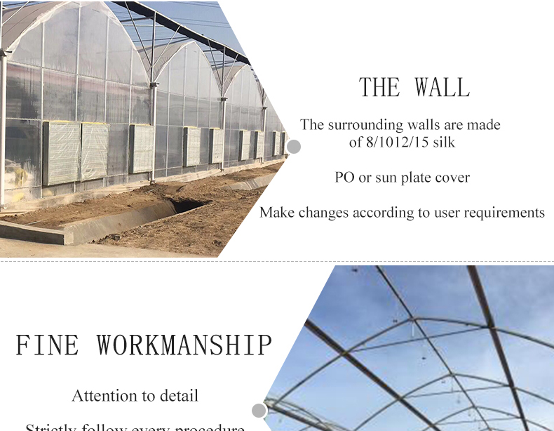 Double Layer PO Greenhouse Tunnel for Precise Temperature Control
