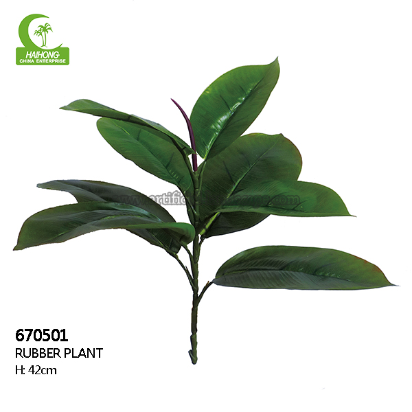 artificial rubber plant