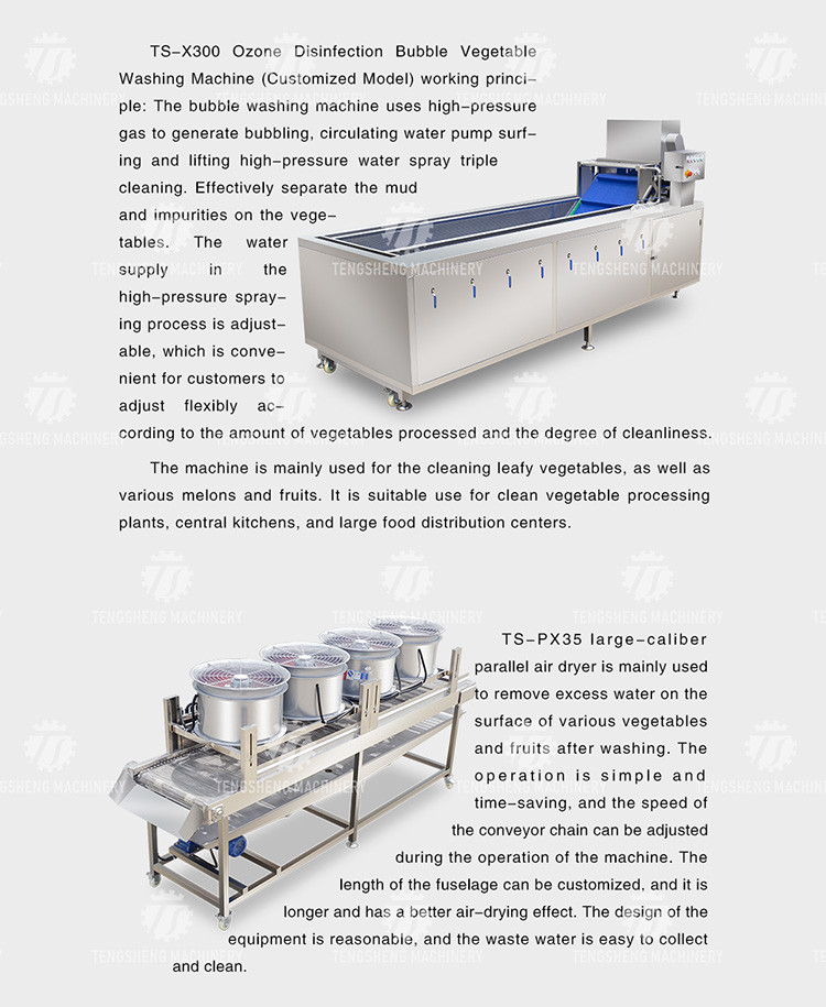 380V Fruit And Vegetable Processing Line Sweet Potato Picking Hair Roller Bubble Cleaning Drying Cutting Machine