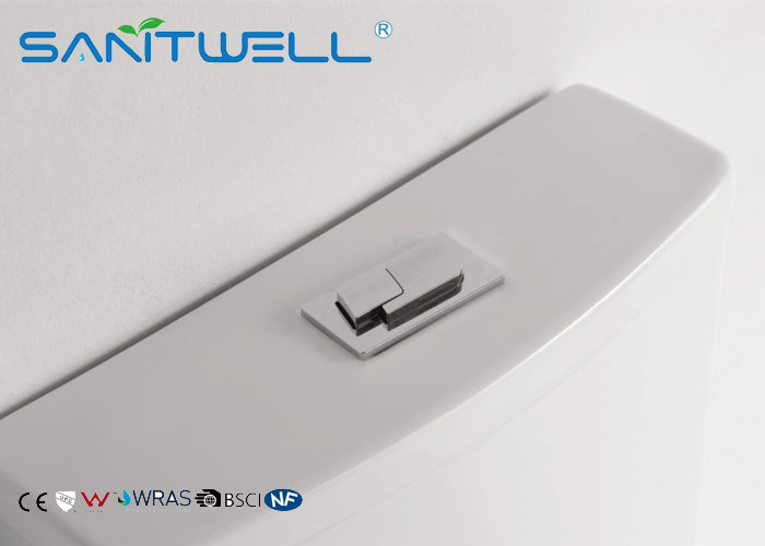 Washdown Close Coupled Toilet Floor Standing Combination With Double Flushing