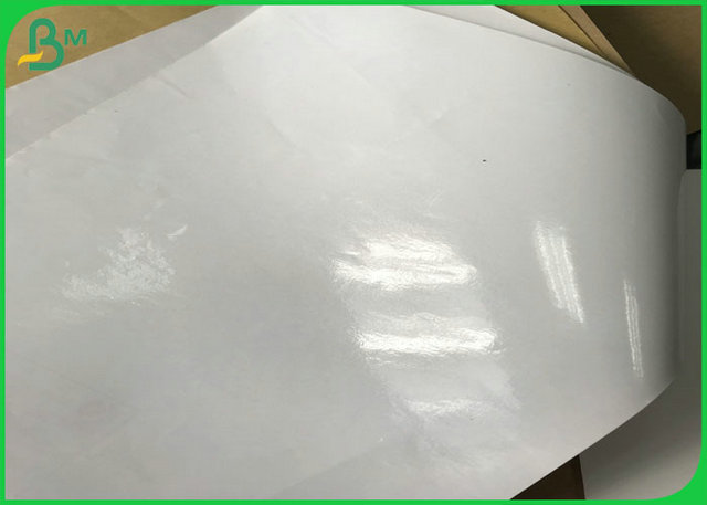 pe coated food grade paper