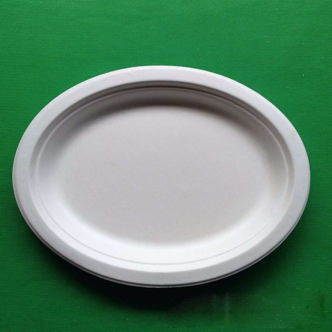 Medium size biodegradable fish dish sugarcane BBQ fish plate for picnic